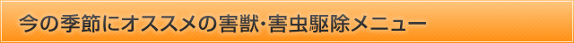 おすすめメニュー