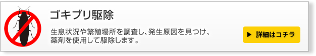 ゴキブリ駆除