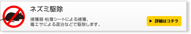 ネズミ駆除