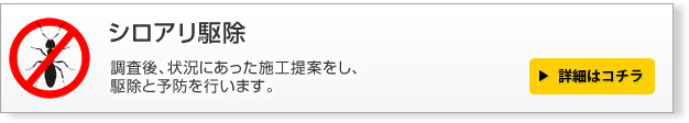 シロアリ駆除