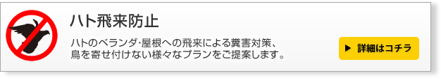 ハト飛来防止