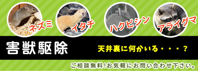 害獣駆除もおまかせ