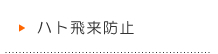 ハト飛来防止