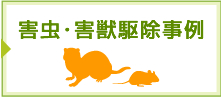 駆除事例